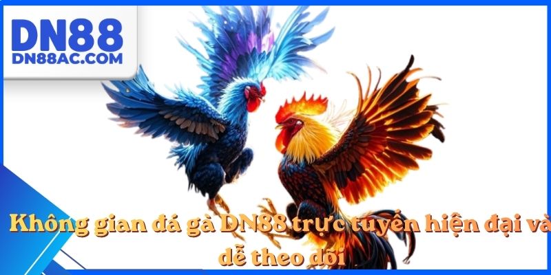 Không gian đá gà DN88 trực tuyến hiện đại và dễ theo dõi