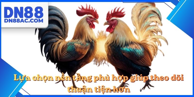 Lựa chọn nền tảng phù hợp giúp theo dõi thuận tiện hơn