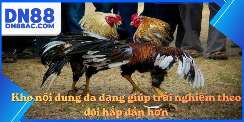Kho nội dung đa dạng giúp trải nghiệm theo dõi hấp dẫn hơn